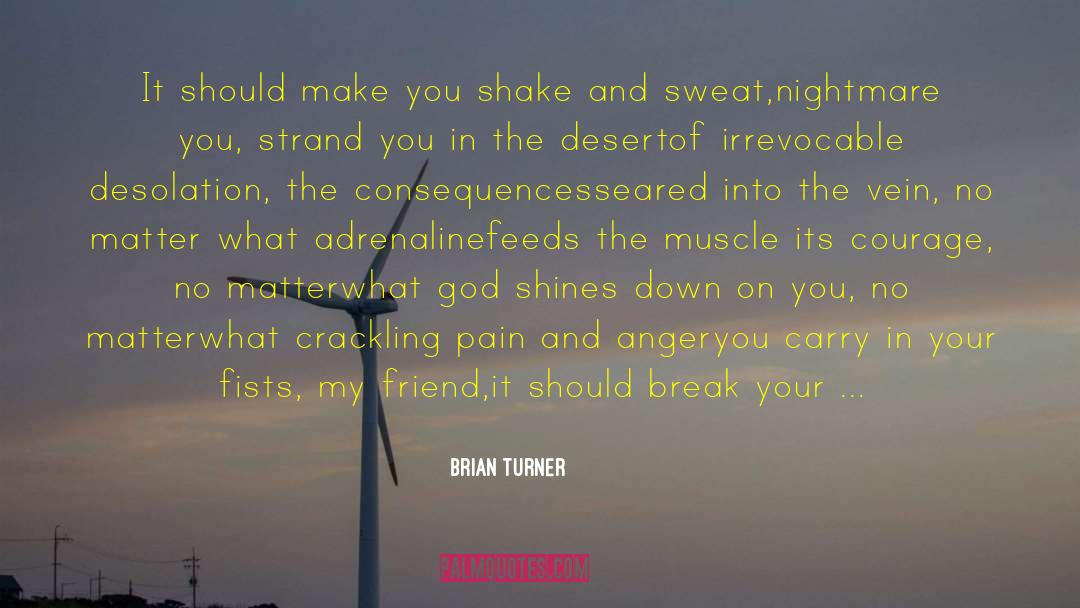 Adrenaline quotes by Brian Turner