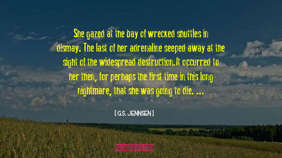 Adrenaline quotes by G.S. Jennsen