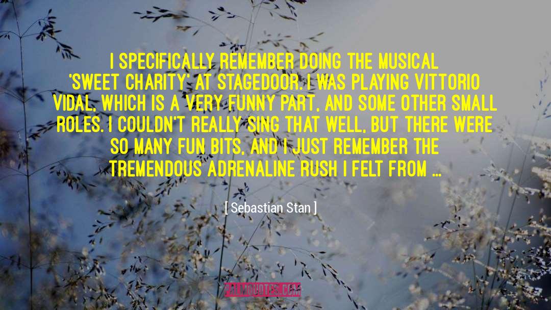 Adrenaline Rush quotes by Sebastian Stan
