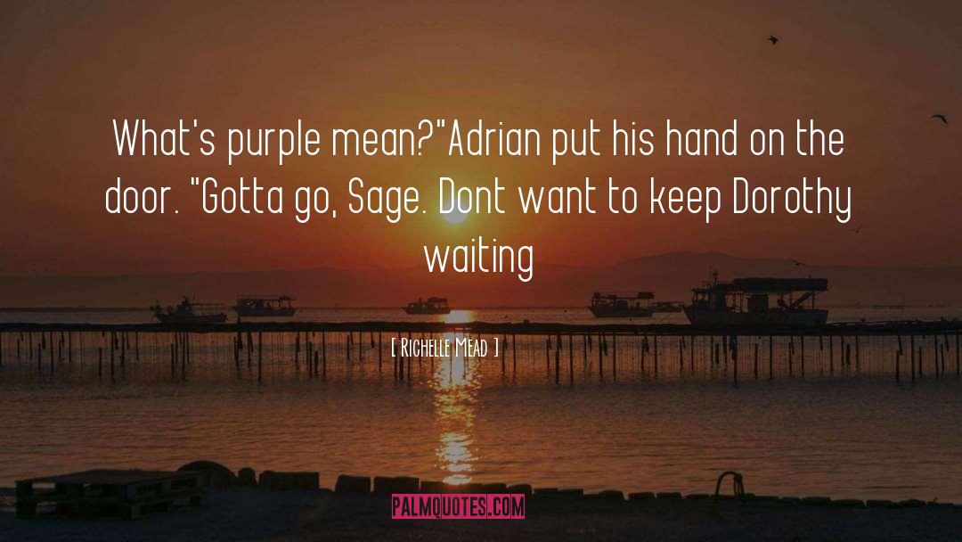 Adrian And Sydney quotes by Richelle Mead