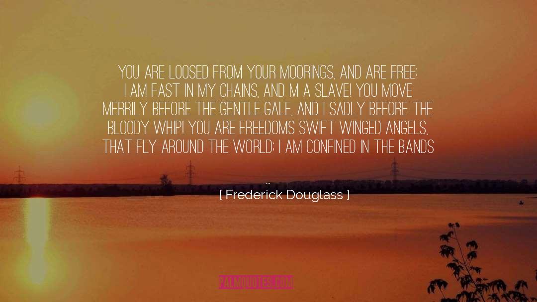 Adrift quotes by Frederick Douglass