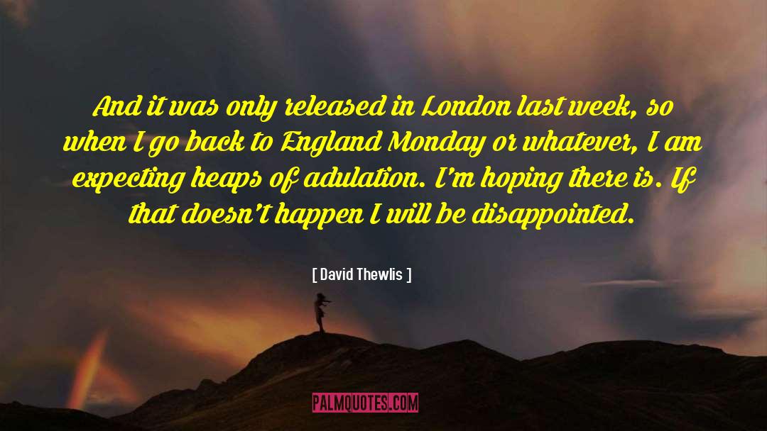 Adulation quotes by David Thewlis