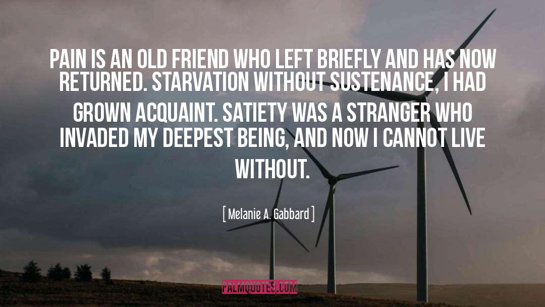 Adult Fiction quotes by Melanie A. Gabbard