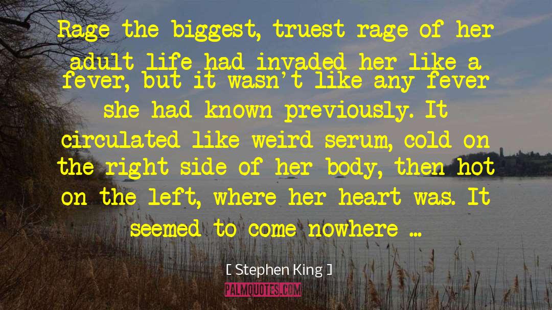 Adult Life quotes by Stephen King