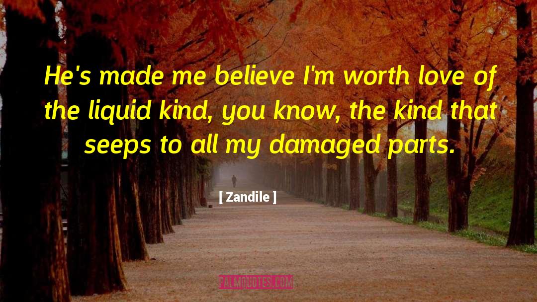 Adult Novel quotes by Zandile
