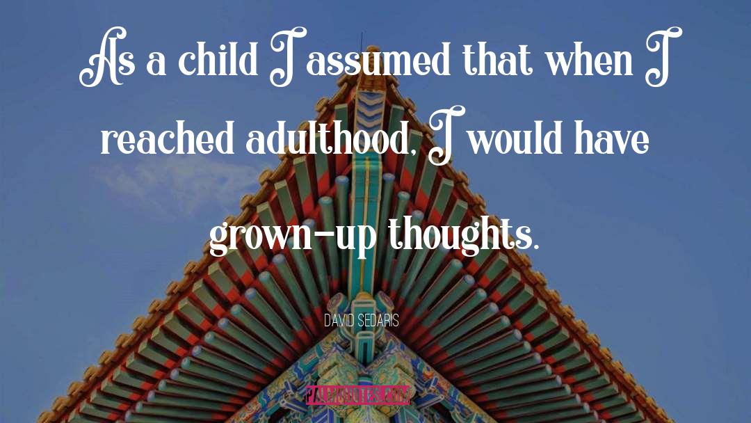 Adulthood quotes by David Sedaris