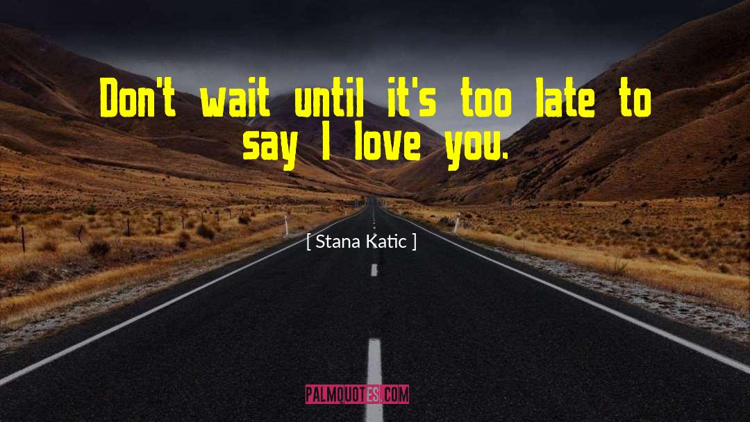 Advance Valentines Day quotes by Stana Katic