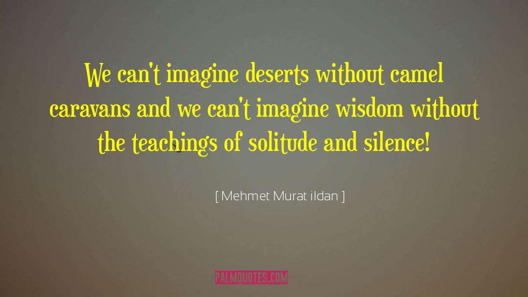 Advantages Of Solitude quotes by Mehmet Murat Ildan