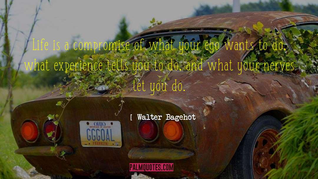 Adventure And Life quotes by Walter Bagehot