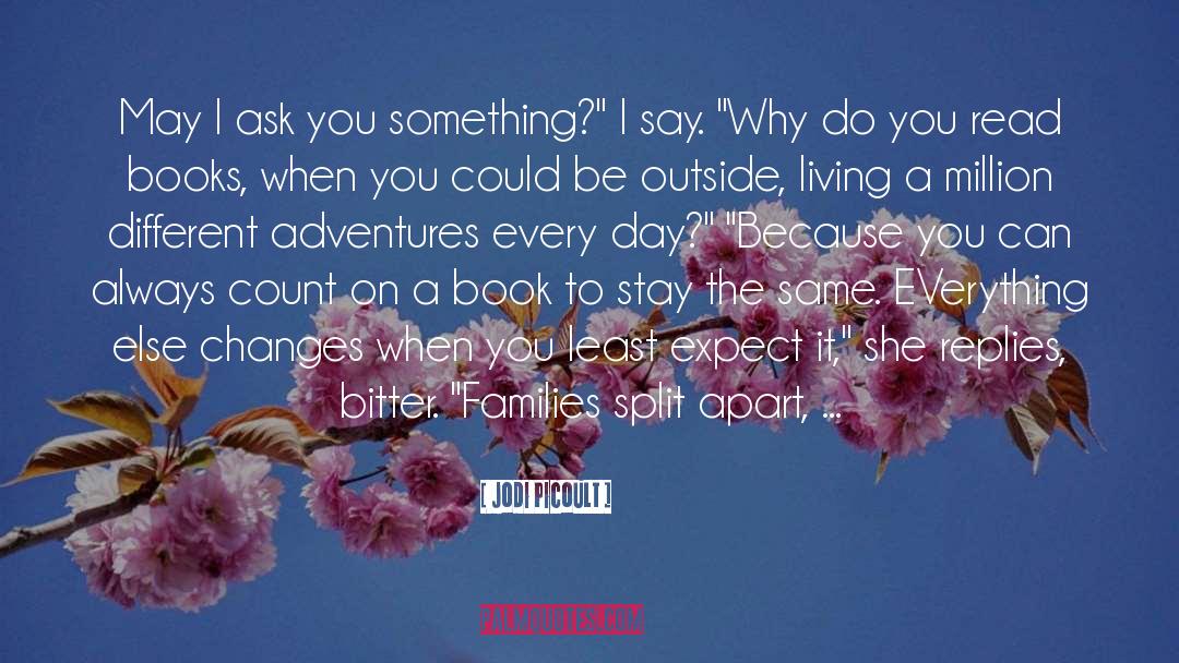 Adventure Fiction quotes by Jodi Picoult