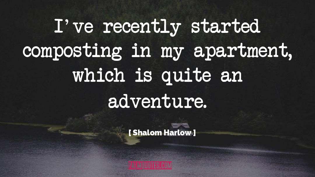 Adventure quotes by Shalom Harlow