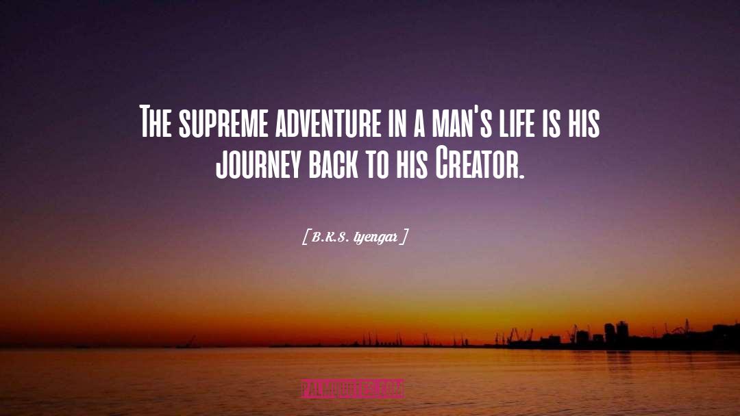 Adventure quotes by B.K.S. Iyengar