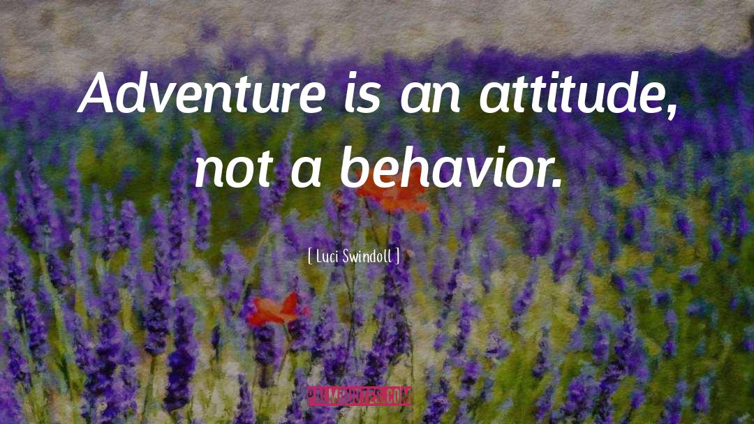 Adventure quotes by Luci Swindoll