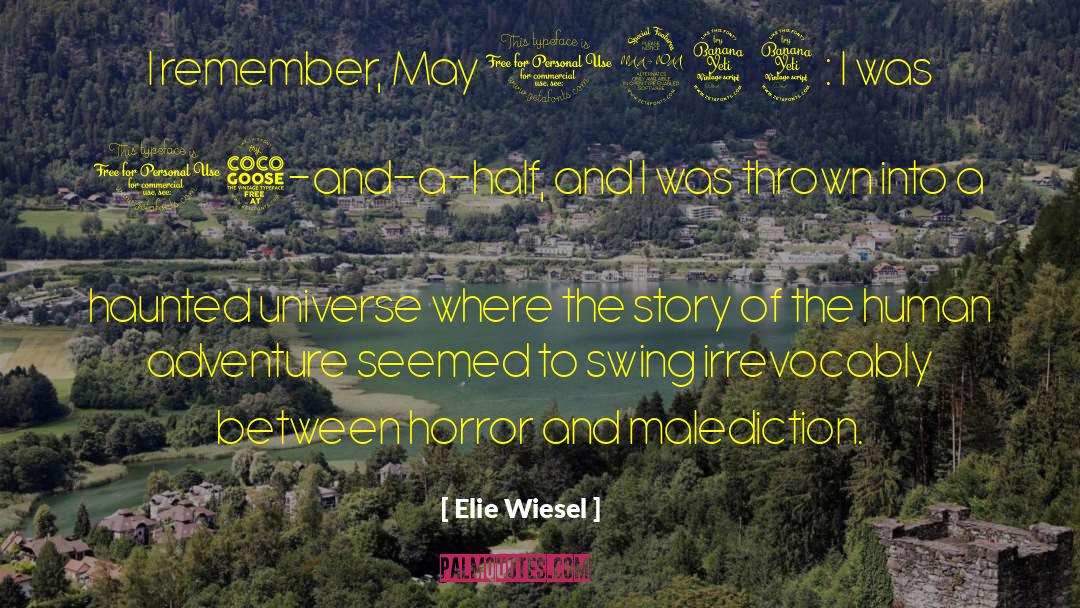 Adventure Thriller quotes by Elie Wiesel