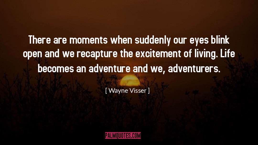 Adventurers quotes by Wayne Visser