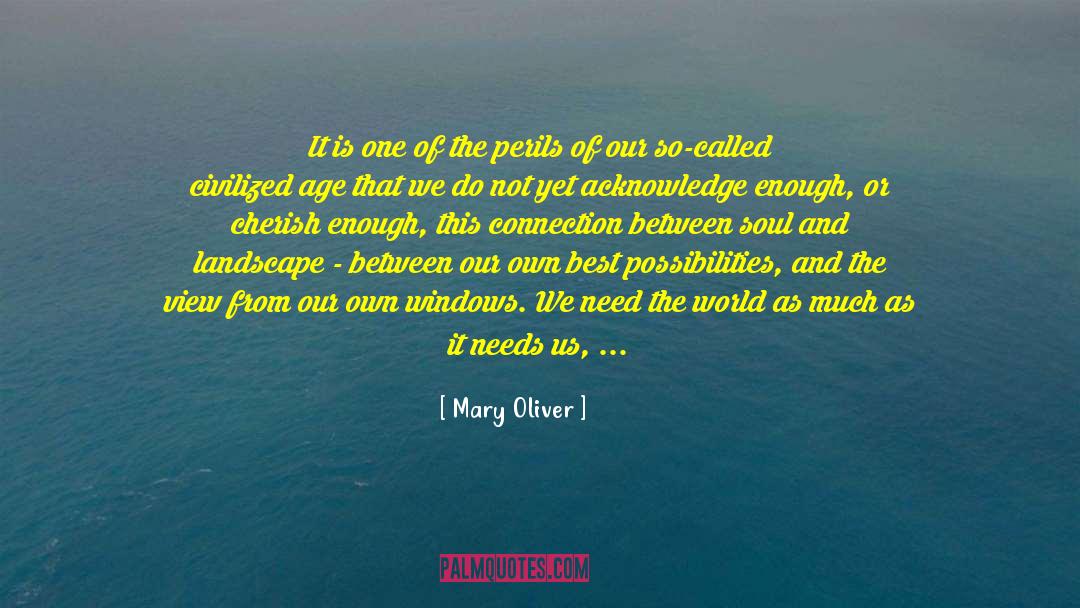 Adventurous quotes by Mary Oliver