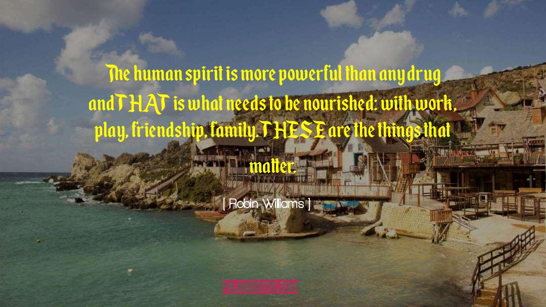 Adventurous Spirit quotes by Robin Williams