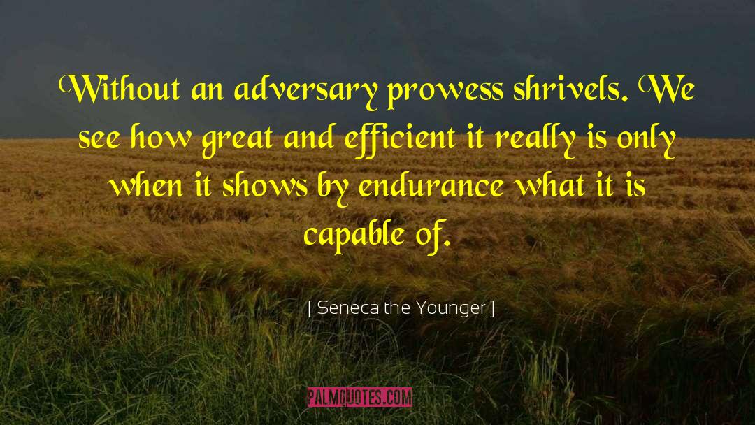 Adversaries quotes by Seneca The Younger