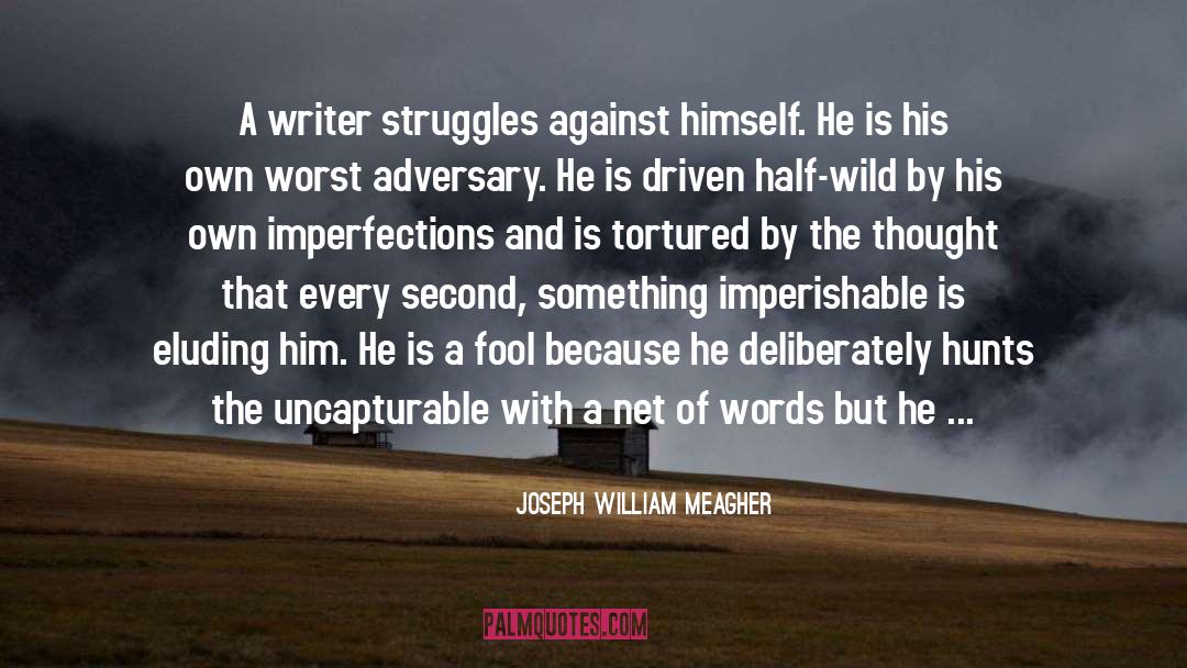 Adversary quotes by Joseph William Meagher