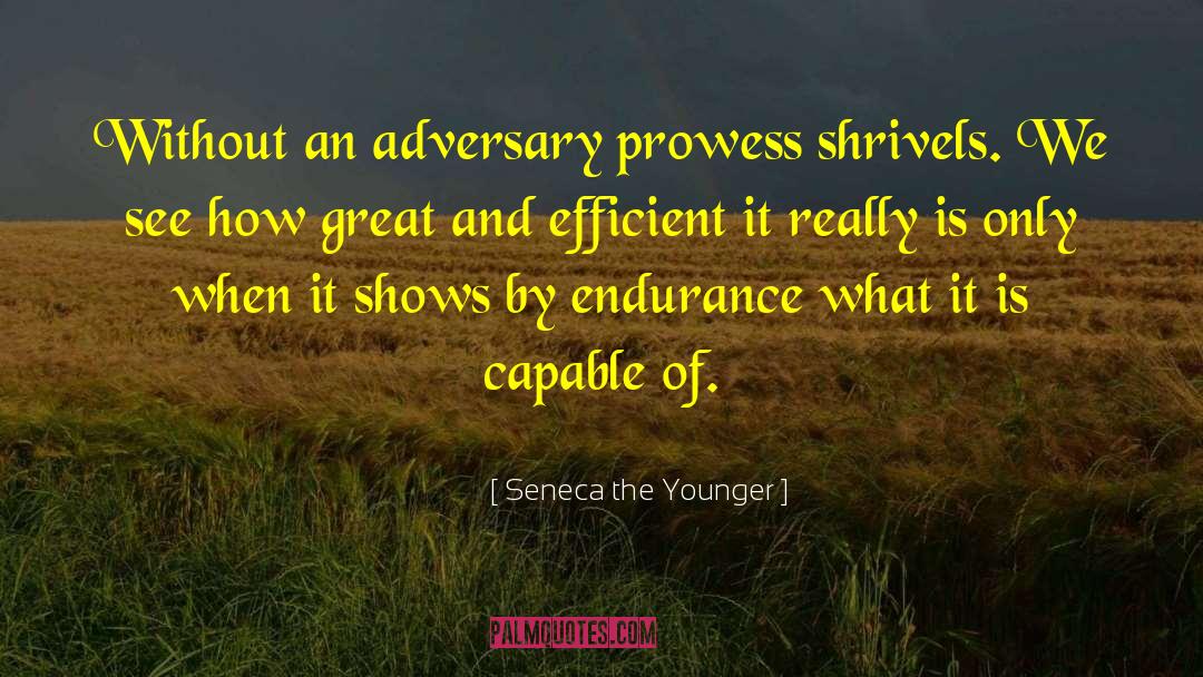 Adversary quotes by Seneca The Younger