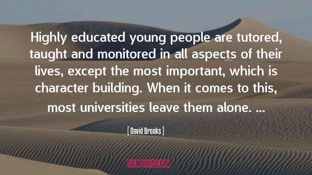 Adversity Building Character quotes by David Brooks
