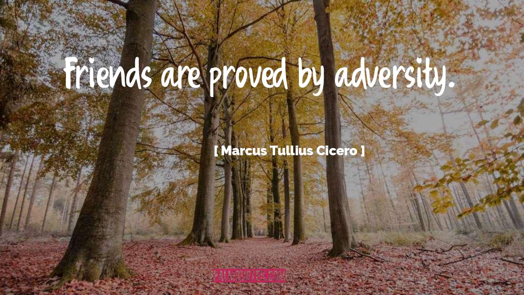 Adversity quotes by Marcus Tullius Cicero