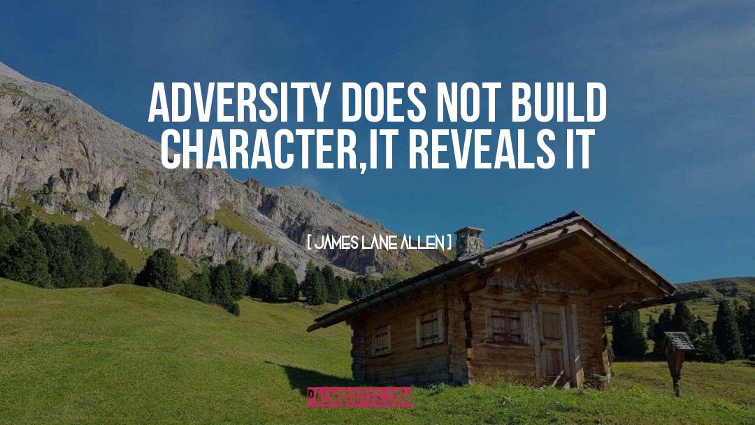 Adversity Sports quotes by James Lane Allen