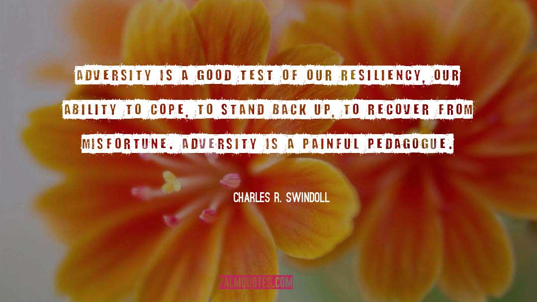 Adversity Sports quotes by Charles R. Swindoll