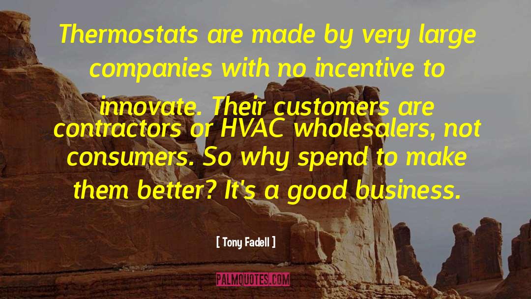Advertising Business quotes by Tony Fadell