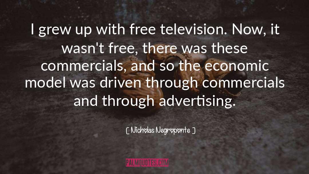 Advertising quotes by Nicholas Negroponte