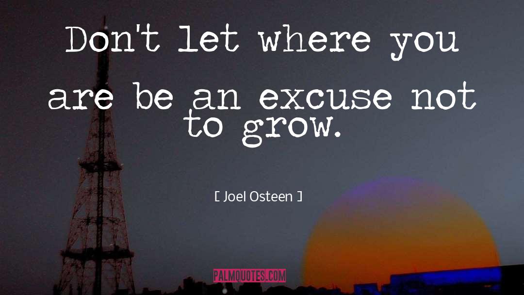 Advice To Beginners quotes by Joel Osteen