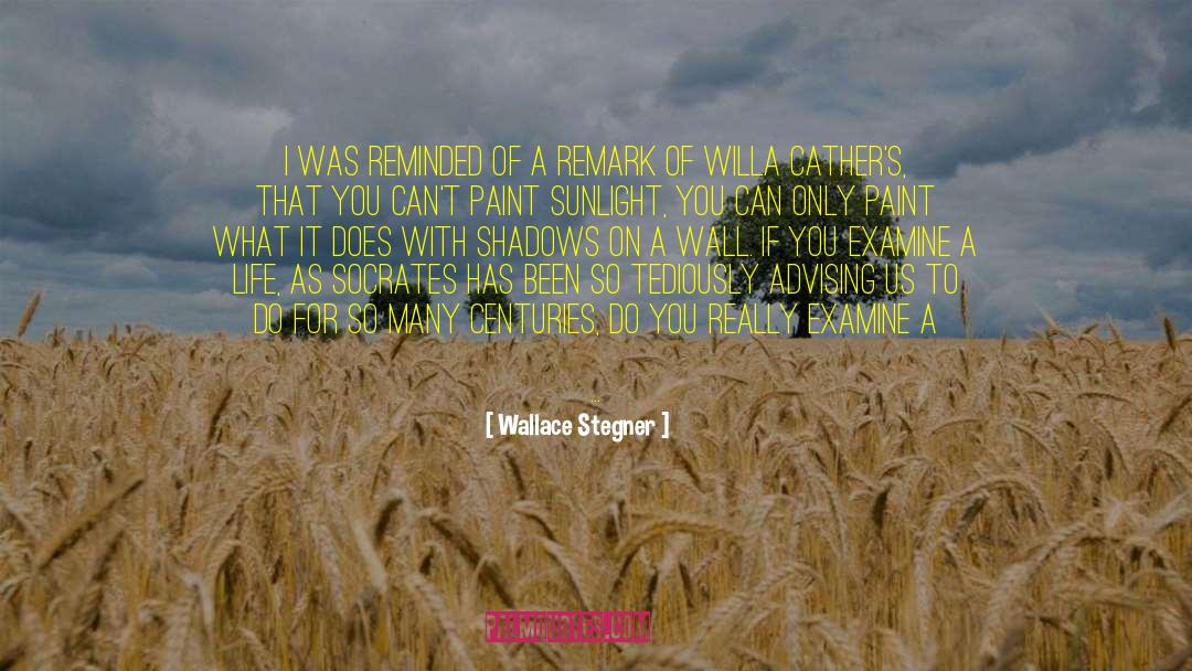 Advising quotes by Wallace Stegner