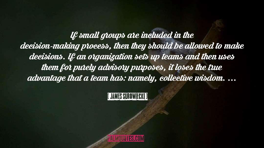 Advisory quotes by James Surowiecki