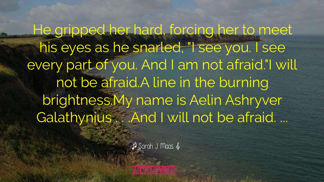 Aedion Ashryver quotes by Sarah J. Maas
