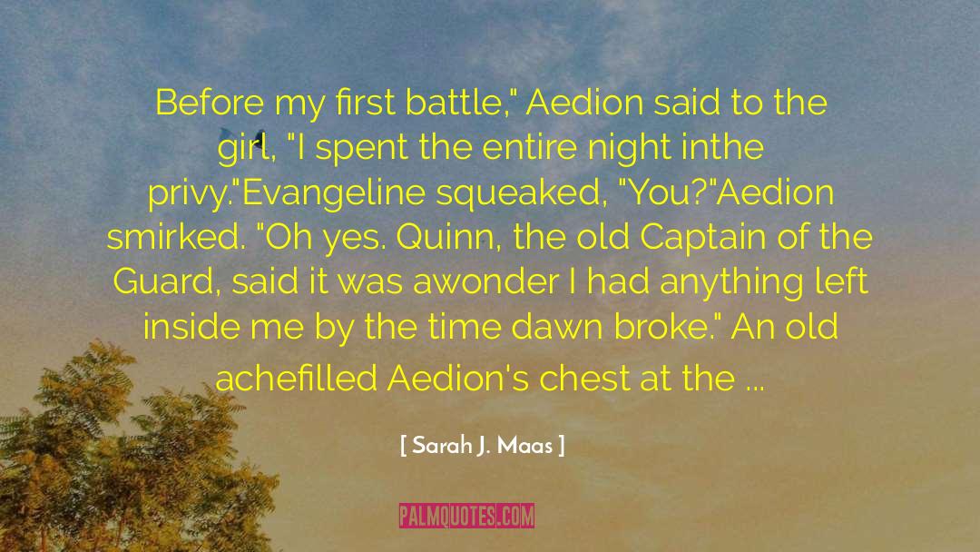 Aedion quotes by Sarah J. Maas