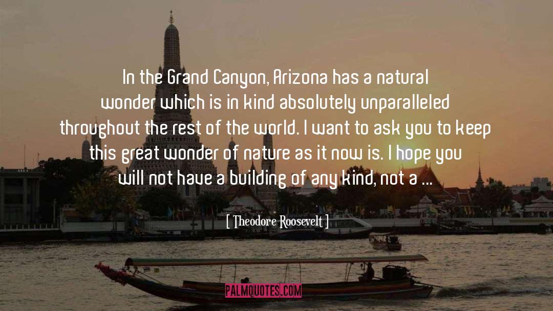 Aegeon Hotel quotes by Theodore Roosevelt