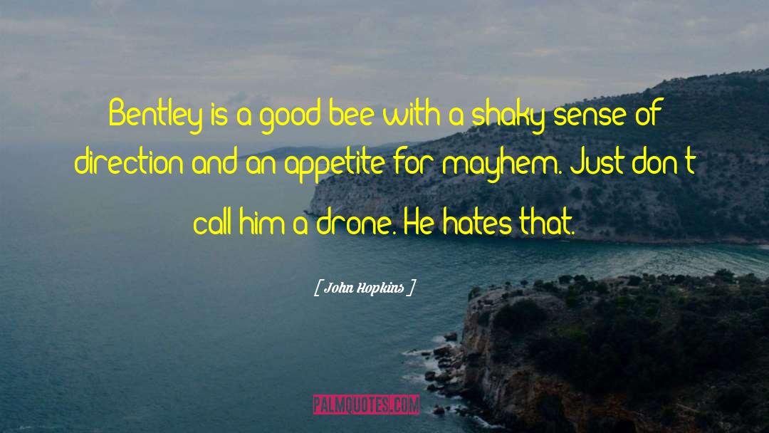 Aerial Drone quotes by John Hopkins