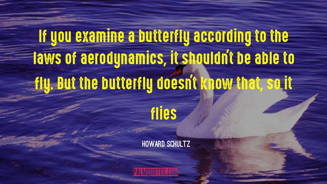 Aerodynamics quotes by Howard Schultz