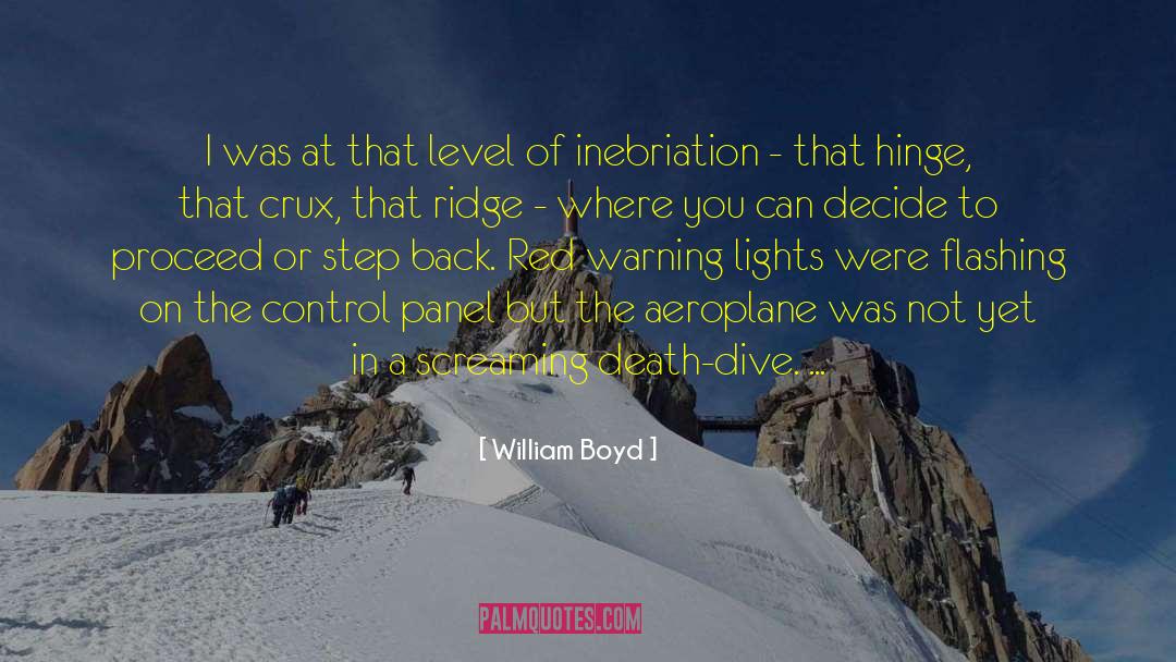 Aeroplane quotes by William Boyd