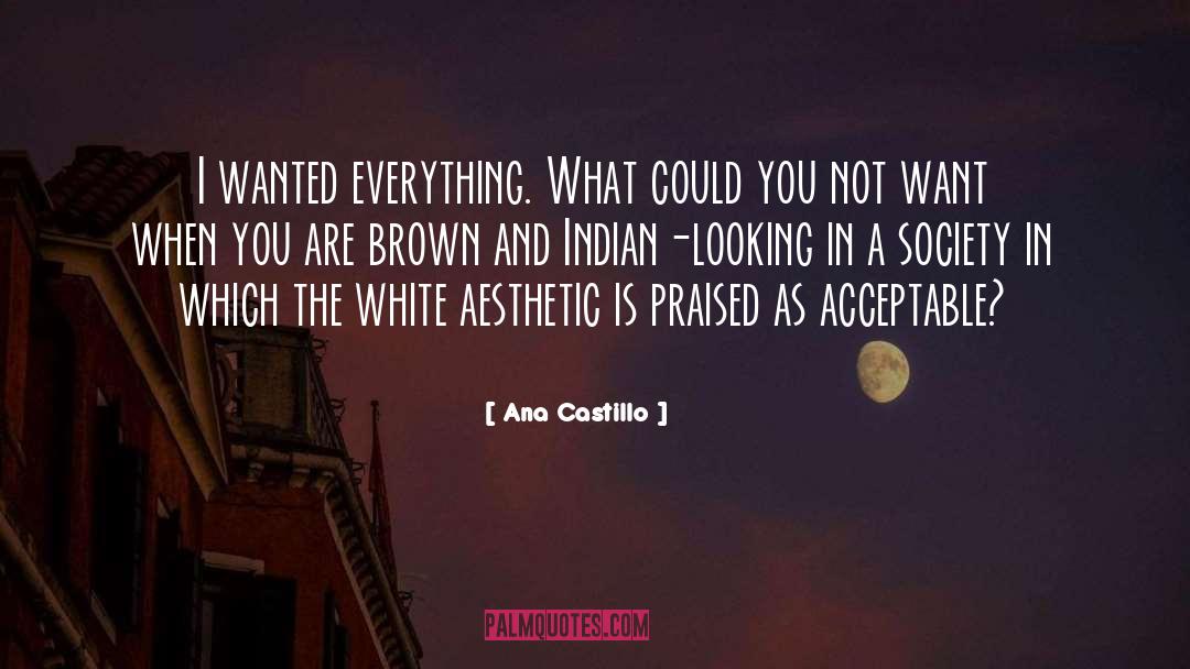 Aesthetic Inspiring quotes by Ana Castillo