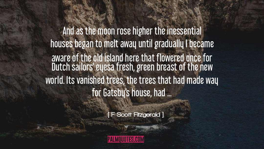 Aesthetic quotes by F Scott Fitzgerald