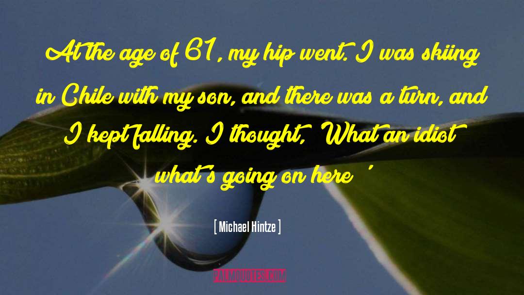 Aesthetically Voluptuous Age quotes by Michael Hintze