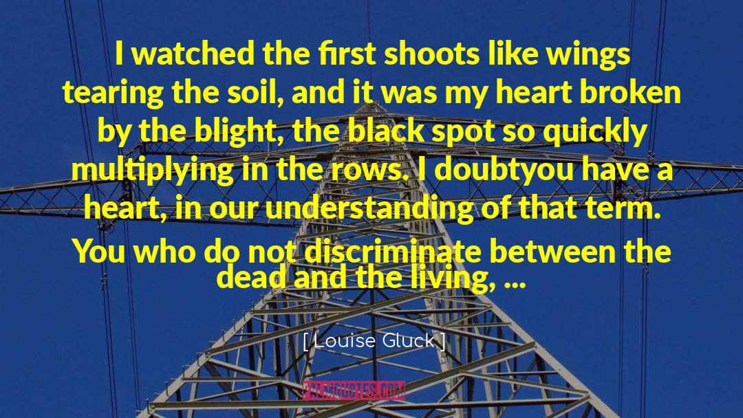 Aeternitas Black quotes by Louise Gluck