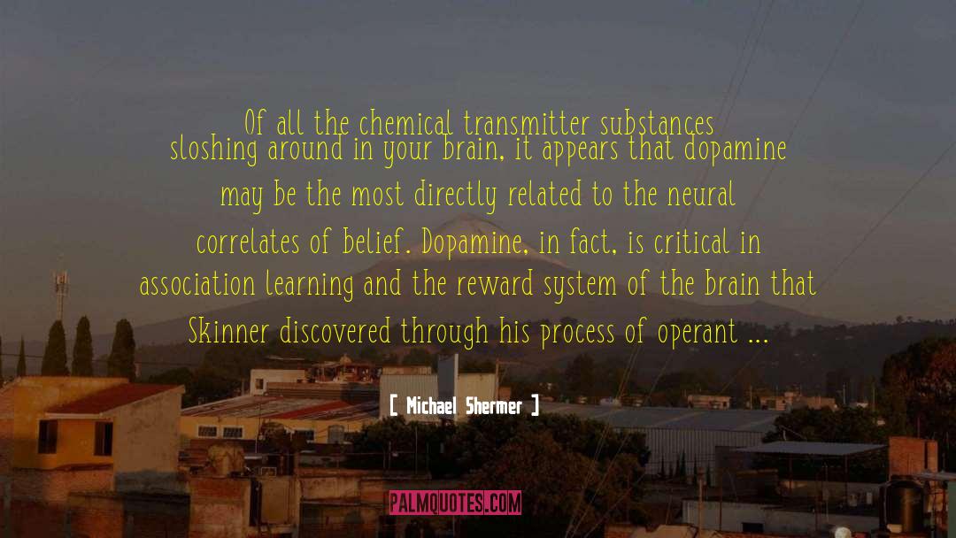 Aethographic Transmitter quotes by Michael Shermer