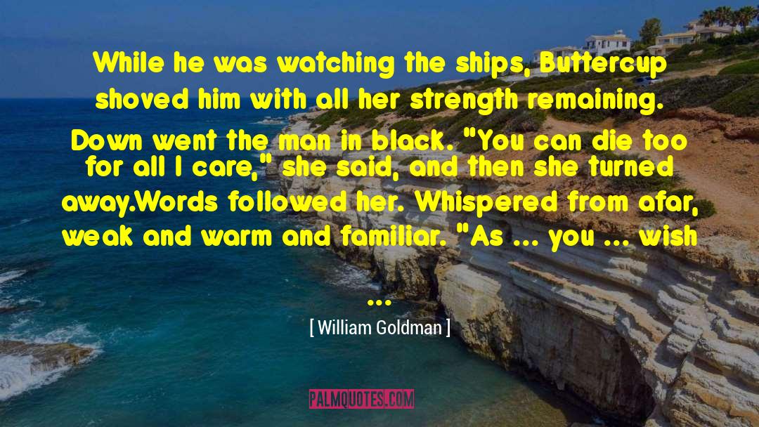 Afar quotes by William Goldman