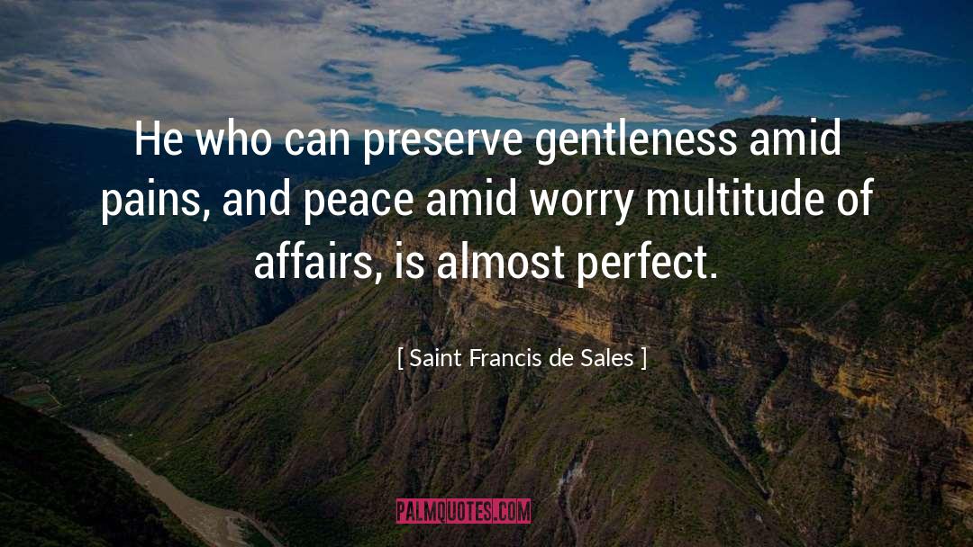 Affair quotes by Saint Francis De Sales