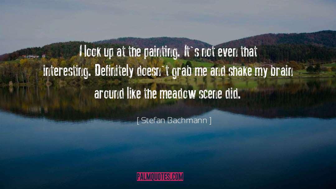 Affect quotes by Stefan Bachmann