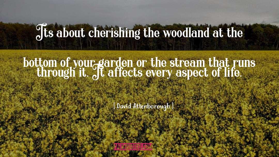 Affects quotes by David Attenborough