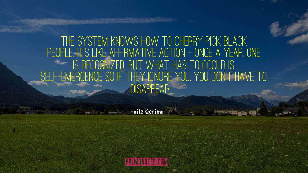 Affirmative Action quotes by Haile Gerima