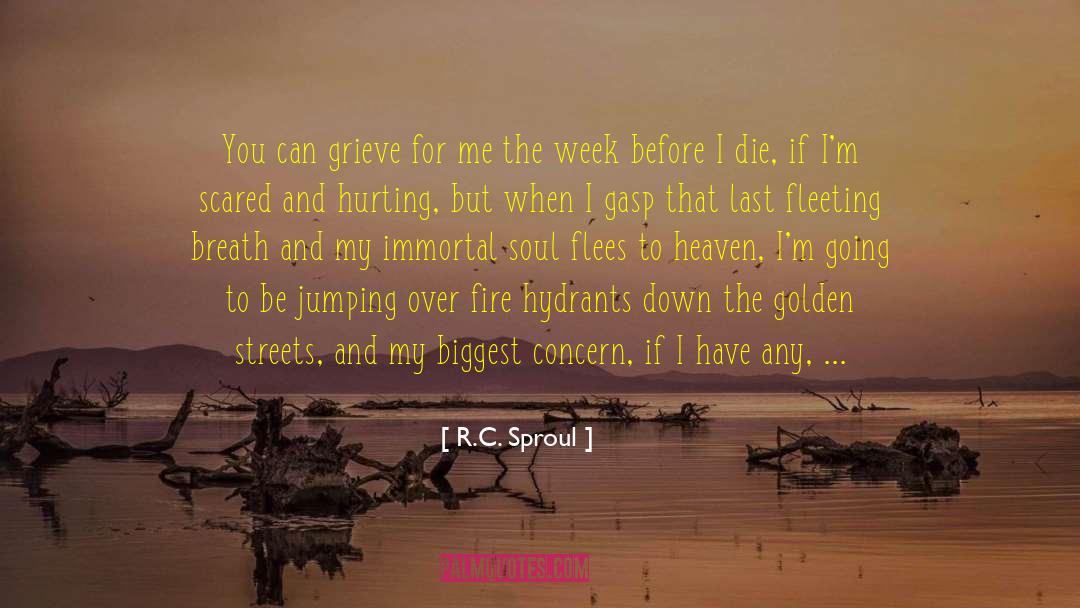 Affliction quotes by R.C. Sproul